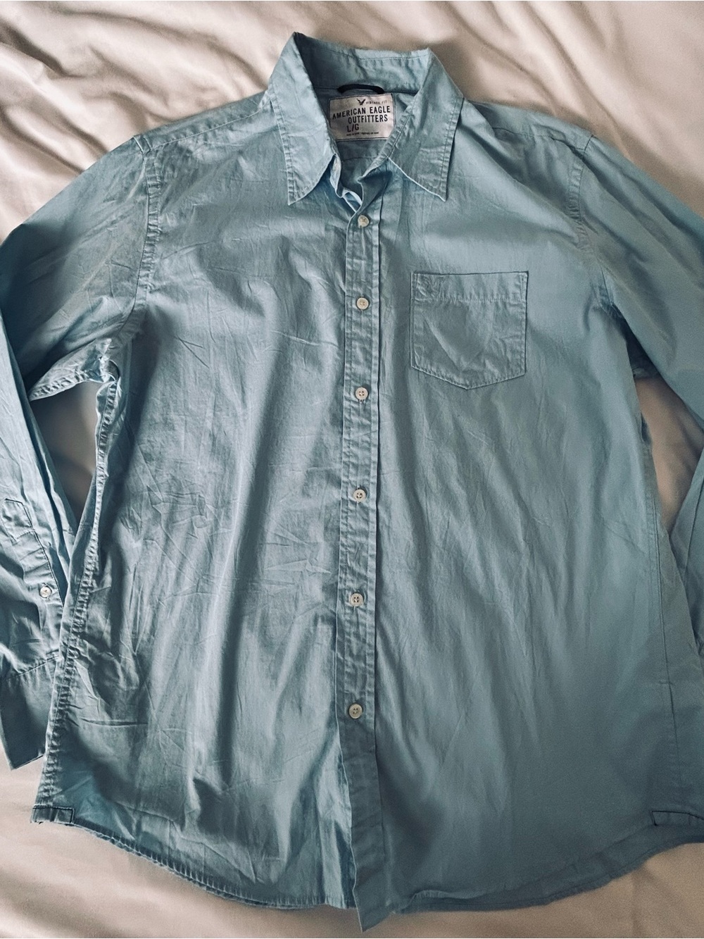 American Eagle Outfitters Light Blue Casual Button-Down Shirt